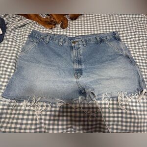 Carhartt Light Blue Women's Denim Shorts